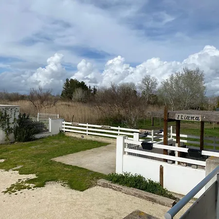 Les Maisons Du Paty